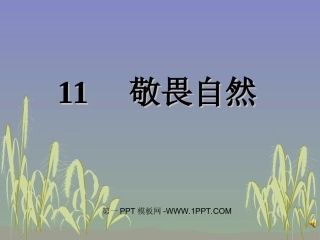 人教版八年级下册语文《敬畏自然》课件PPT