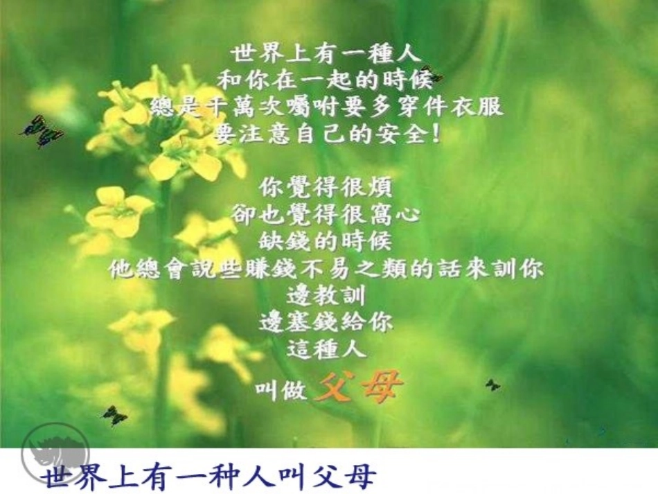 课件2荷叶母亲1_第1页
