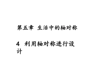 4利用轴对称进行设计-(2)