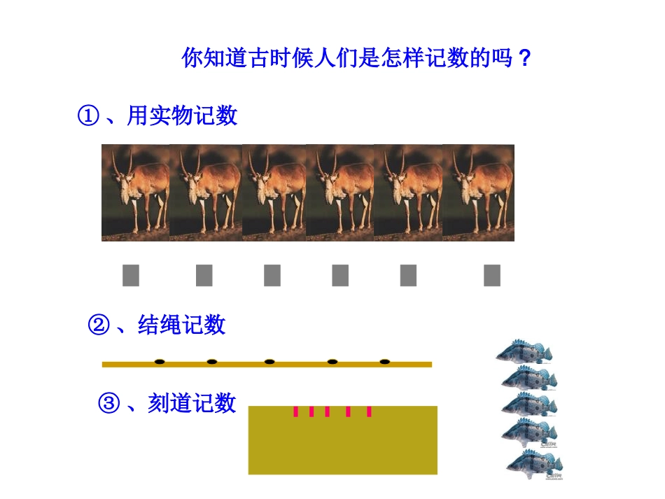数的产生-(2)_第2页