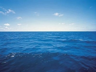 9.青蛙看海2
