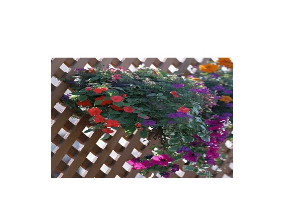 平行四边形判定定理的简单应用-(4)_第3页