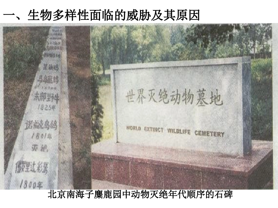 第三章-保护生物的多样性-(2)_第3页