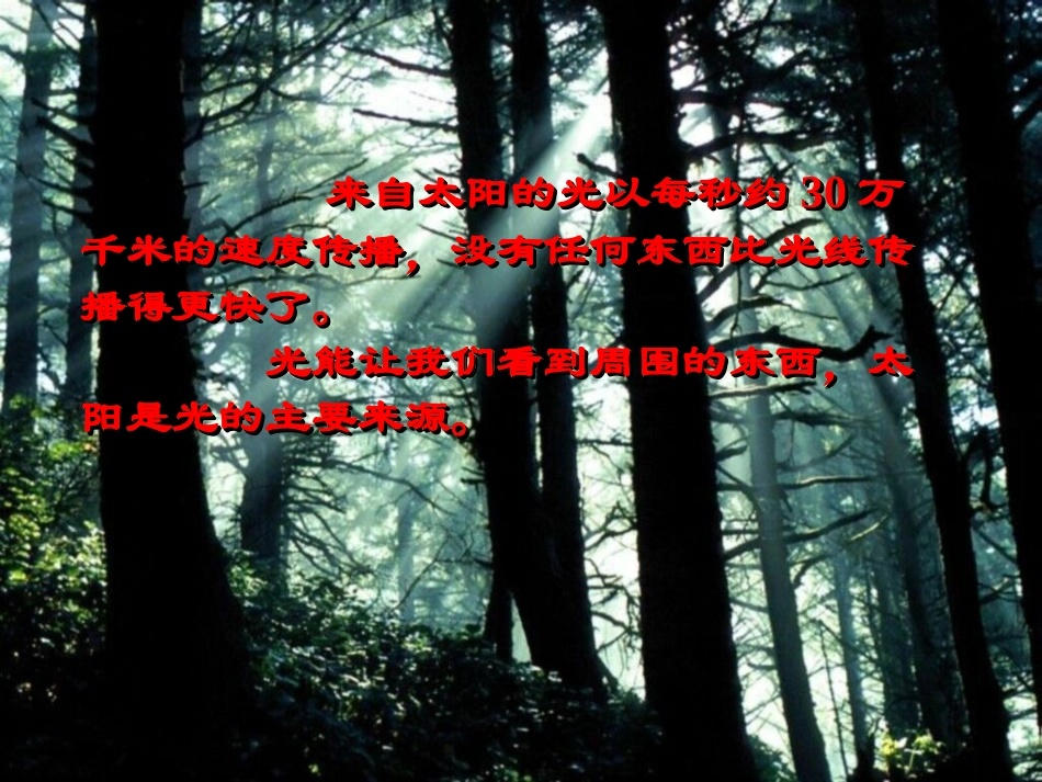 教科版小学科学五年级上册课件《阳光下的影子》_第2页