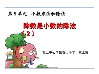 11.除数是小数的除法(2)