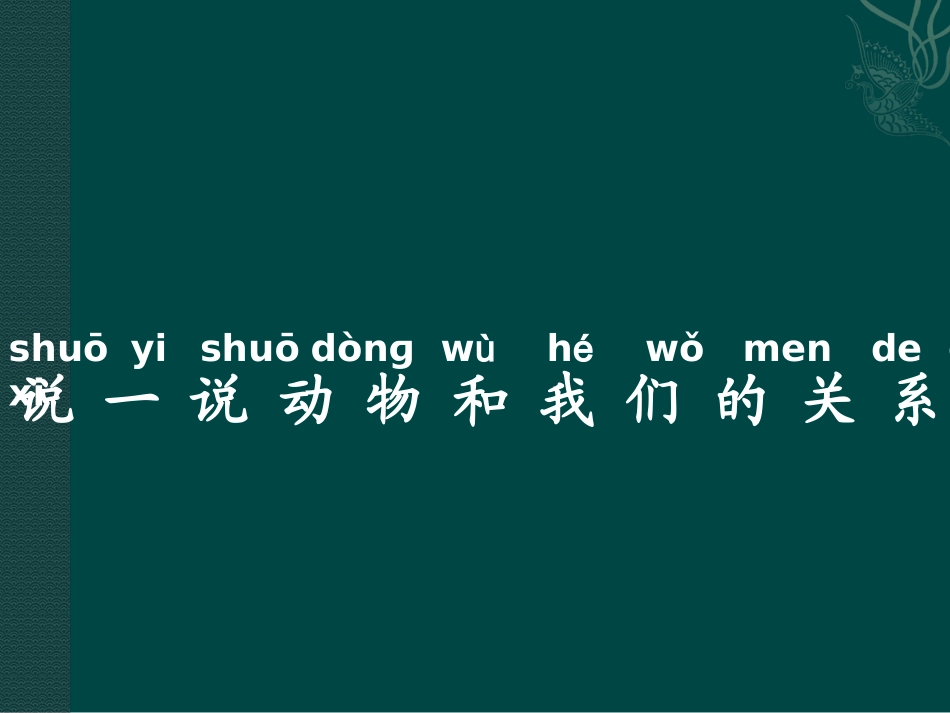 4动物和我们_第2页