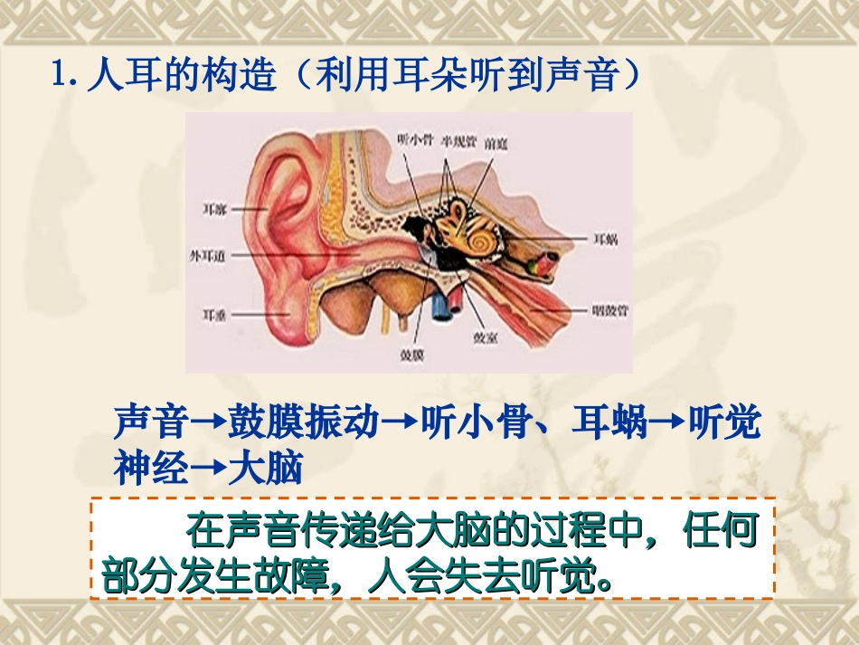 我们怎样听到声音_第2页