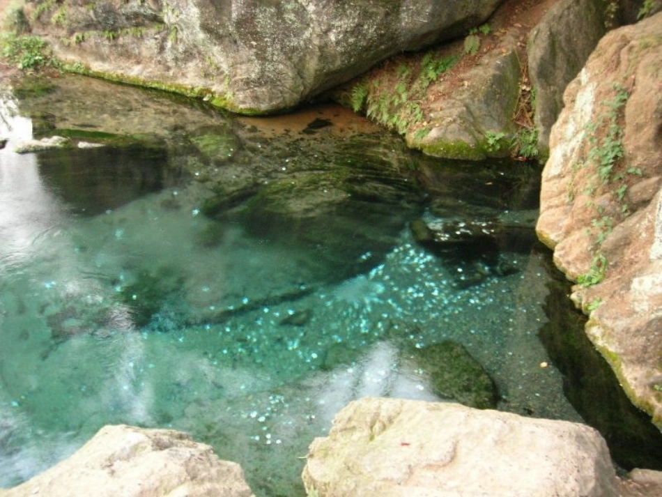 04《珍珠泉》(人教版三年级语文下册)_第3页