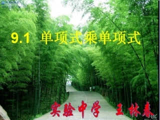 9.1单项式乘单项式-(2)
