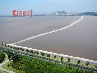 浙江潮(3)