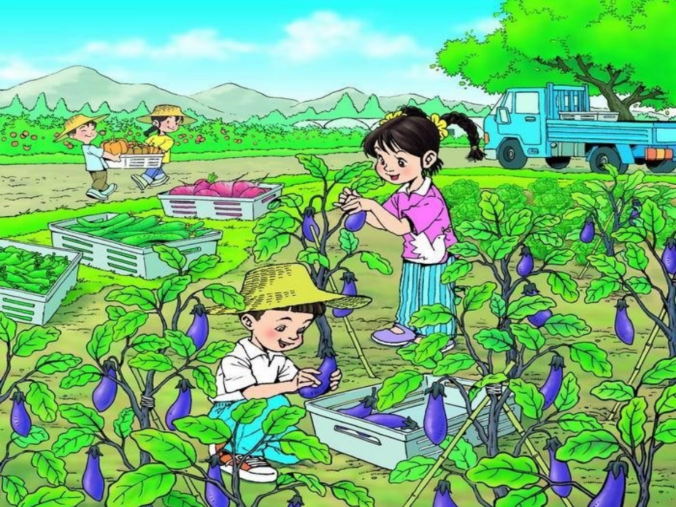 3菜园里课件2_第2页