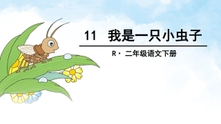 11我是一只小虫子