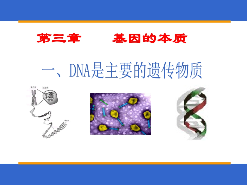 DNA是主要的遗传物质_第1页
