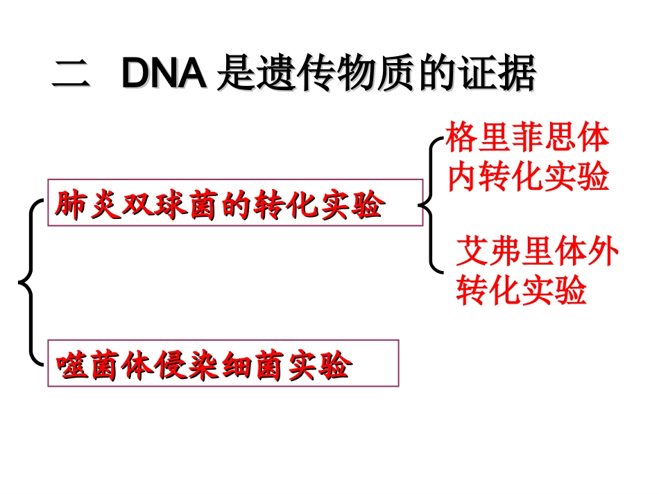 DNA是主要的遗传物质_第3页