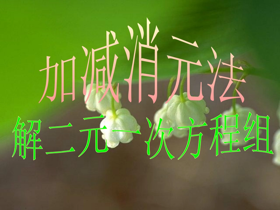 用加减法减二元一次方程组_第1页