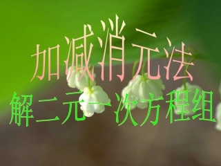 用加减法减二元一次方程组