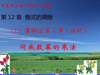 121幂的运算(第1课时同底数幂的乘法)