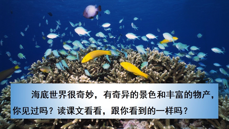 23海底世界_第3页