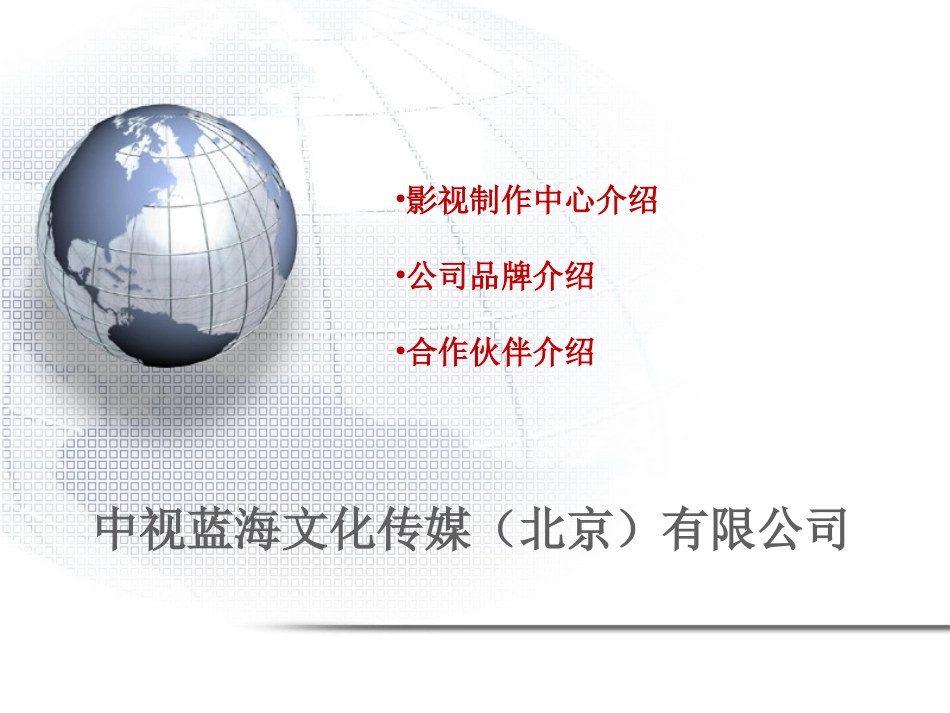 中视蓝海媒体推荐资料_第1页