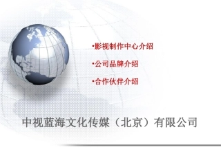 中视蓝海媒体推荐资料