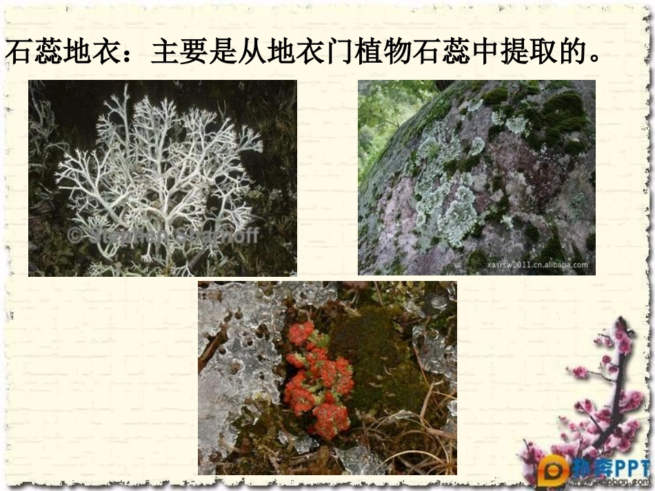 第20课真理诞生于一百个问号之后_第3页