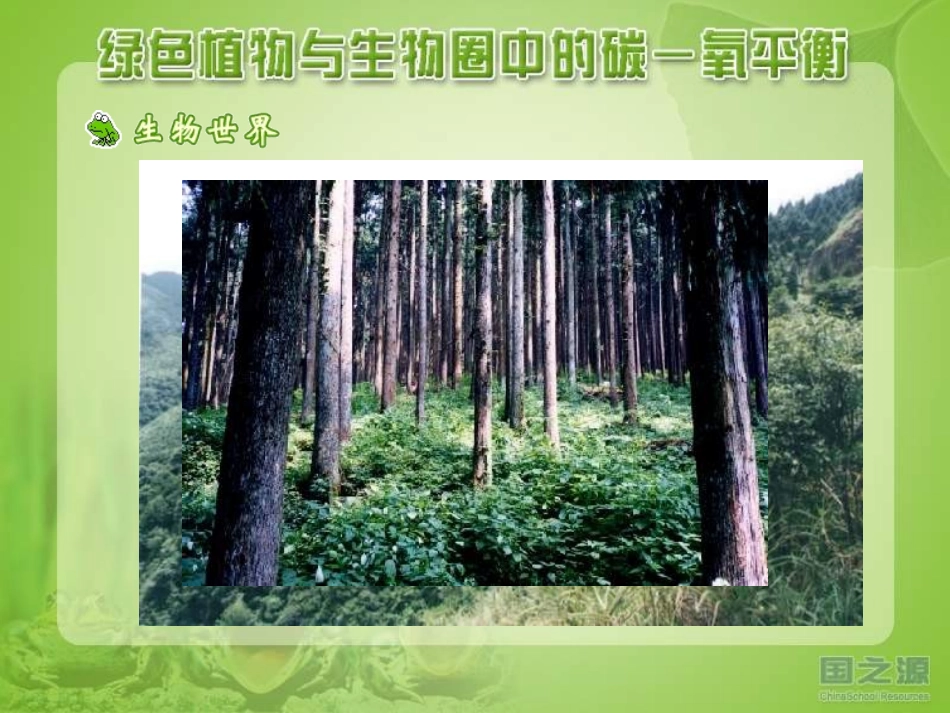 182绿色植物与生物圈中的碳氧平衡3_第2页