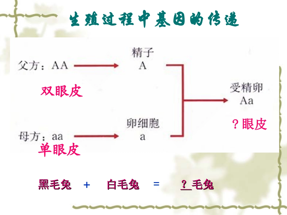 第三节基因的显性与隐性_第3页