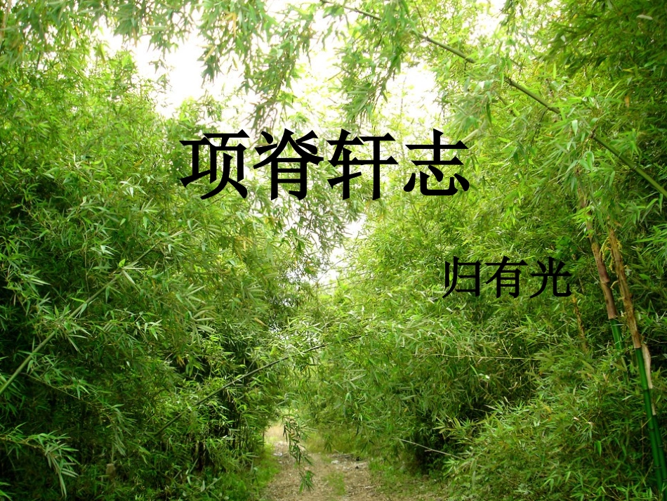 项脊轩志课件许粉青_第1页