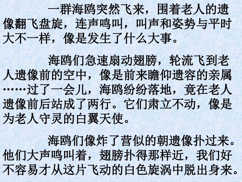 老人与海鸥01_第3页