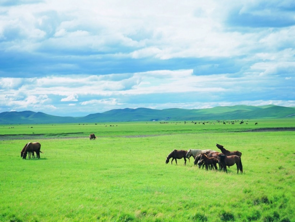 人教2011版小学数学三年级搭配(二)_第2页