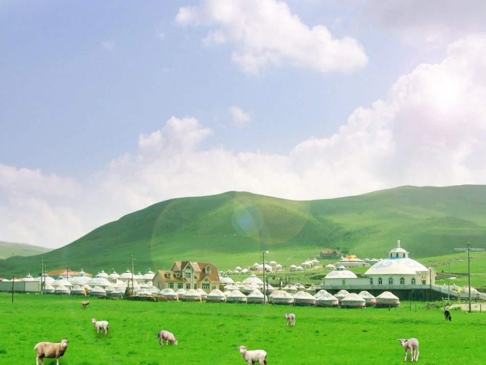 人教2011版小学数学三年级搭配(二)_第3页