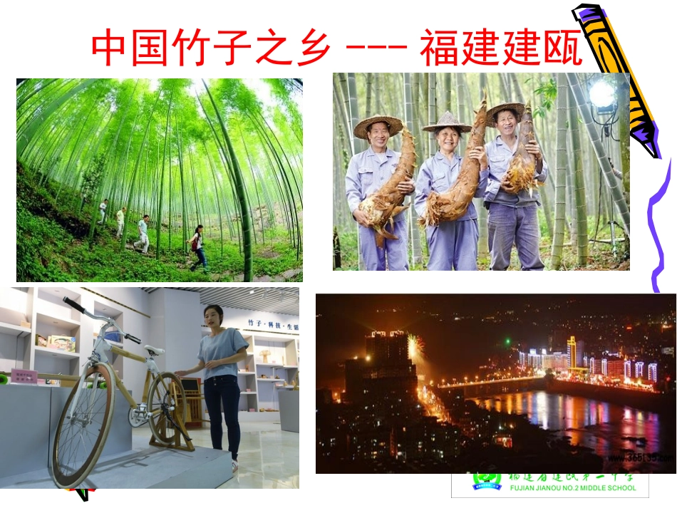 问题研究　我的家乡怎样发展_第2页