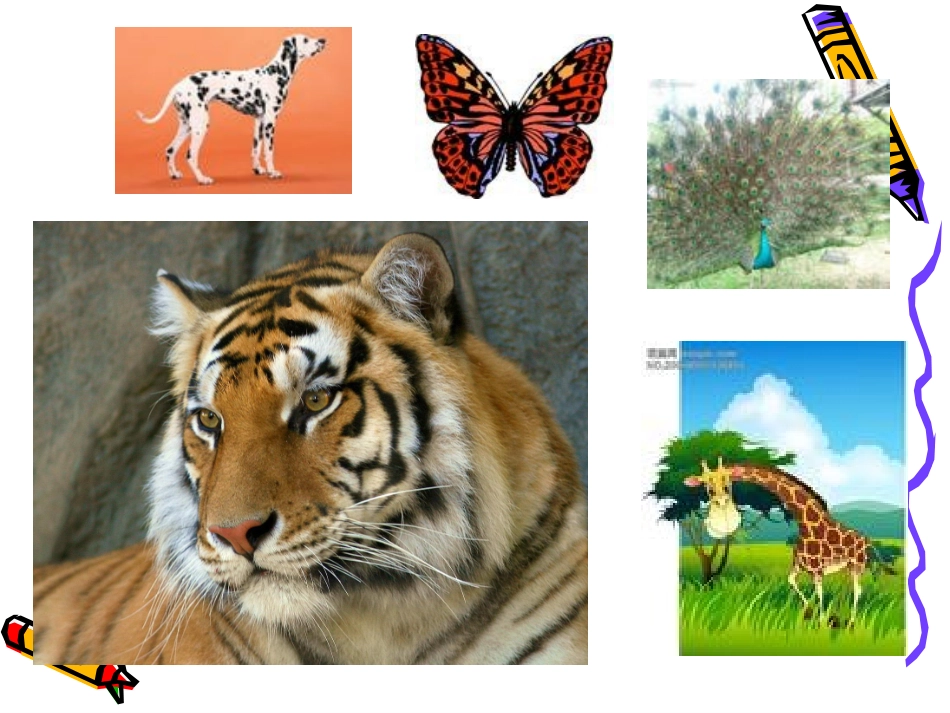 三年级美术《迷彩服》课件_第3页