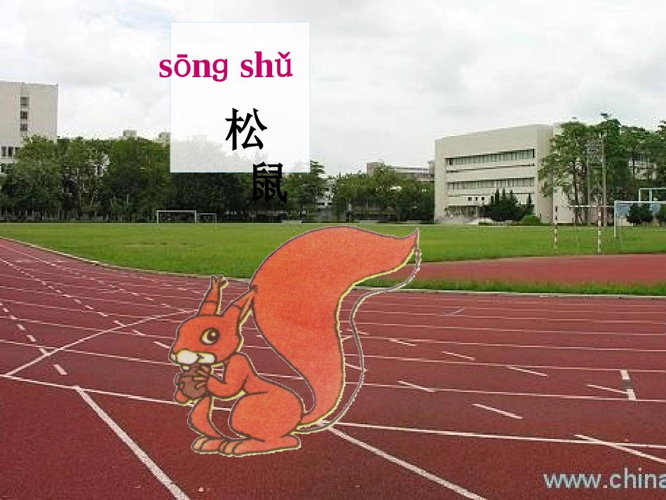 10、比尾巴第一课时_第3页