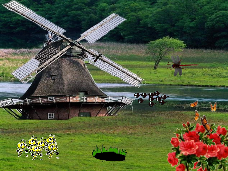 小学语文一年级课件-识字4-9_第2页