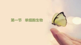 第一节单细胞生物-(2)