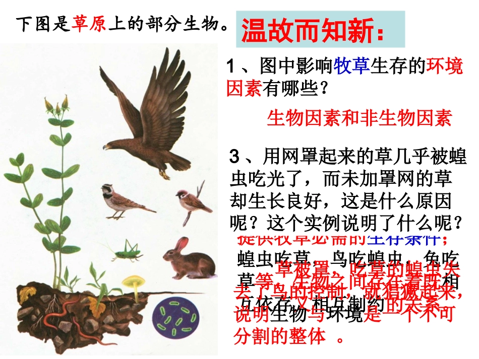 第三节生态系统_第3页