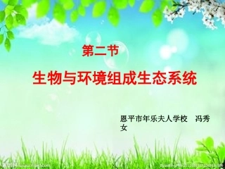 第三节生态系统