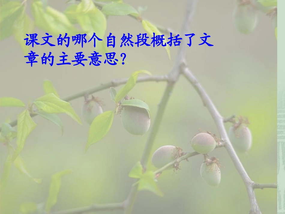 美丽的小兴安岭PPT_第2页