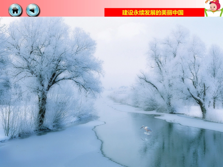 第九章建设永续发展的美丽中国-(3)_第3页