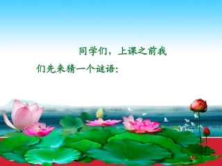 北师大版小学一年级上册语文《我的家》公开课课件PPT