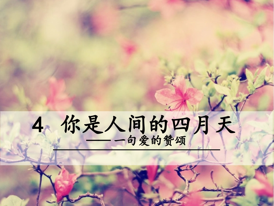 4你是人间的四月天——一句爱的赞颂_第1页
