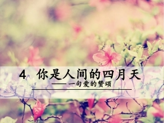 4你是人间的四月天——一句爱的赞颂