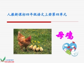 (人教新课标)四年级语文上册课件母鸡3
