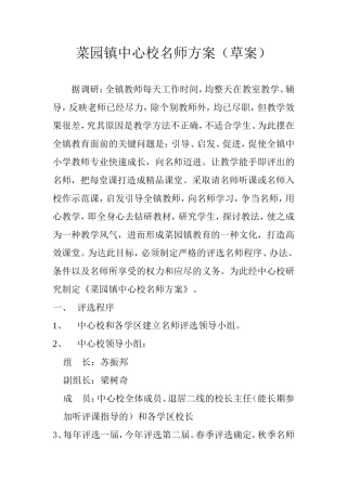 菜园镇名师方案