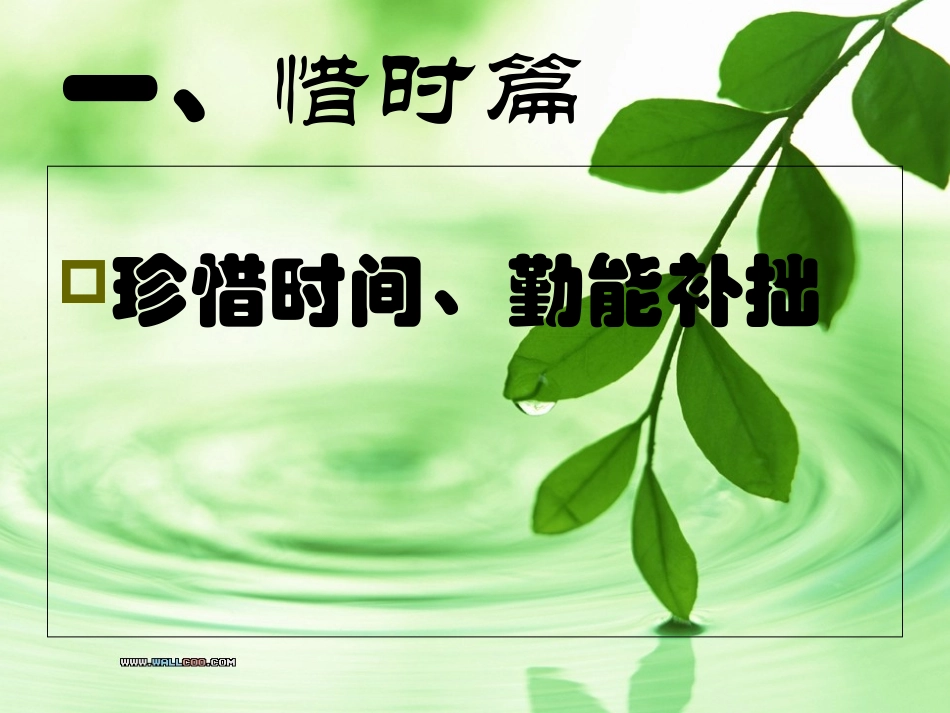 青春飞扬主题班会_第3页