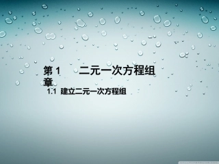 1.1建立二元一次方程组 (3)