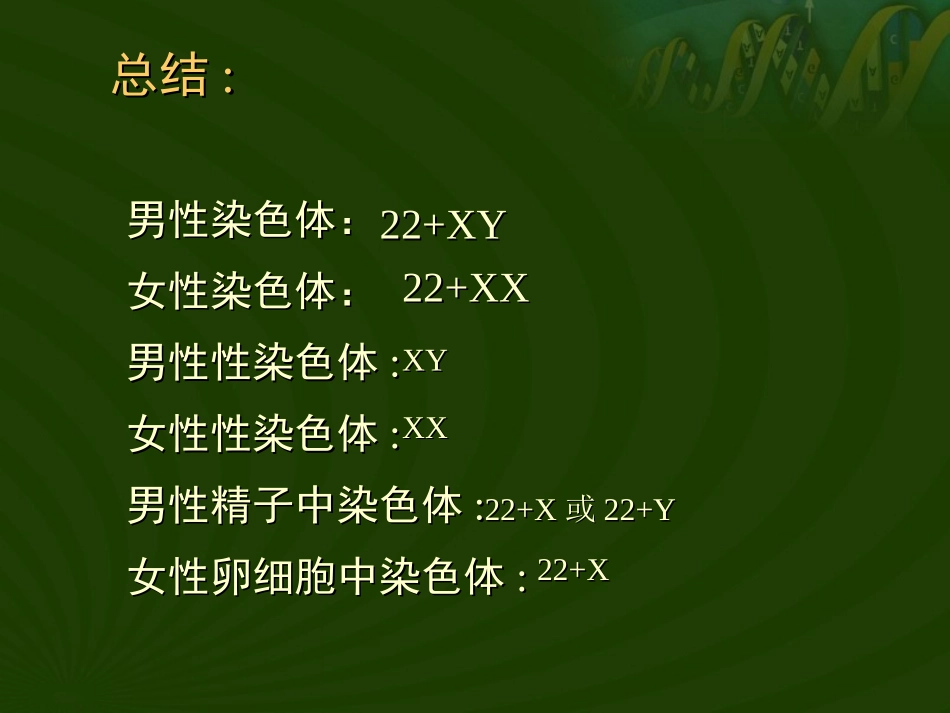 第四节--人的性别遗传_第2页