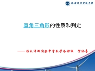 1.1直角三角形的性质和判定（Ｉ） (2)