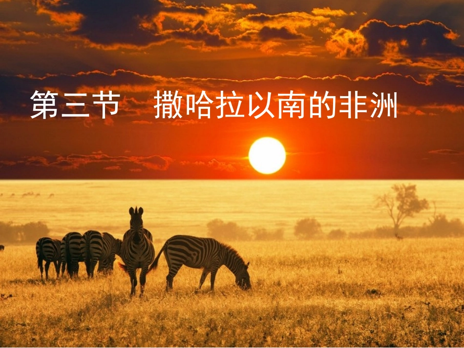 第三节撒哈拉以南的非洲-(2)_第2页